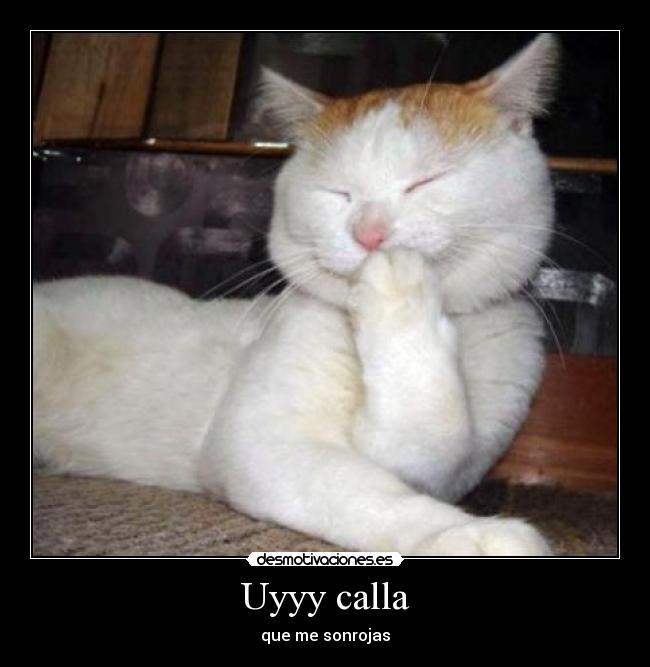 Uyyy calla - que me sonrojas