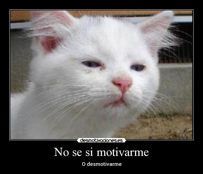 No se si motivarme - O desmotivarme