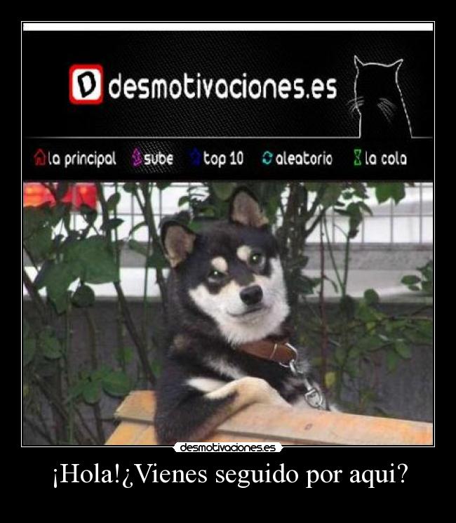 ¡Hola!¿Vienes seguido por aqui? - 