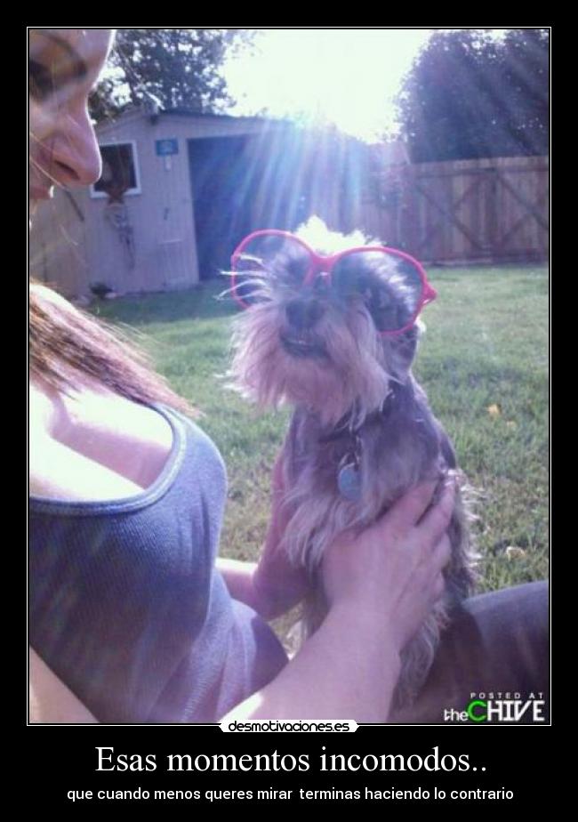 Esas momentos incomodos.. - 