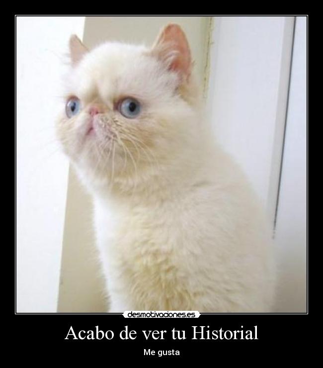 Acabo de ver tu Historial - Me gusta