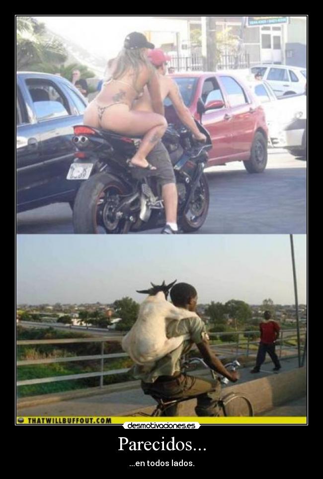 carteles fdhgfnnhg desmotivaciones