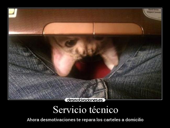 Servicio técnico - 