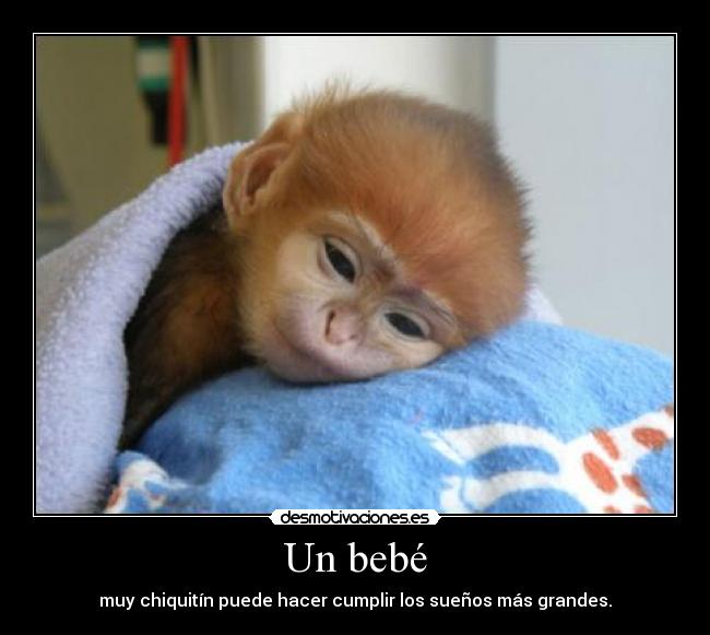 Un bebé -