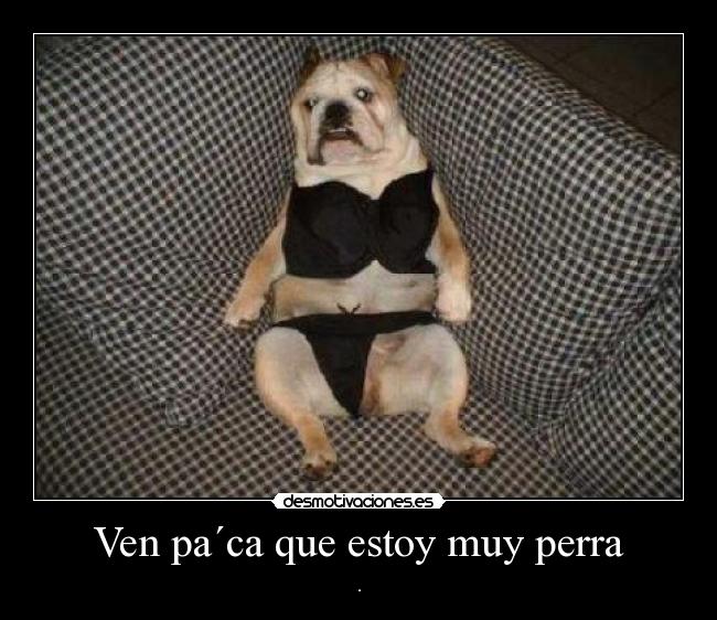 Ven pa´ca que estoy muy perra -