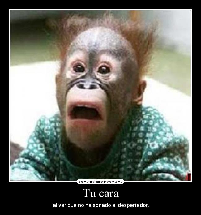 Tu cara - al ver que no ha sonado el despertador.