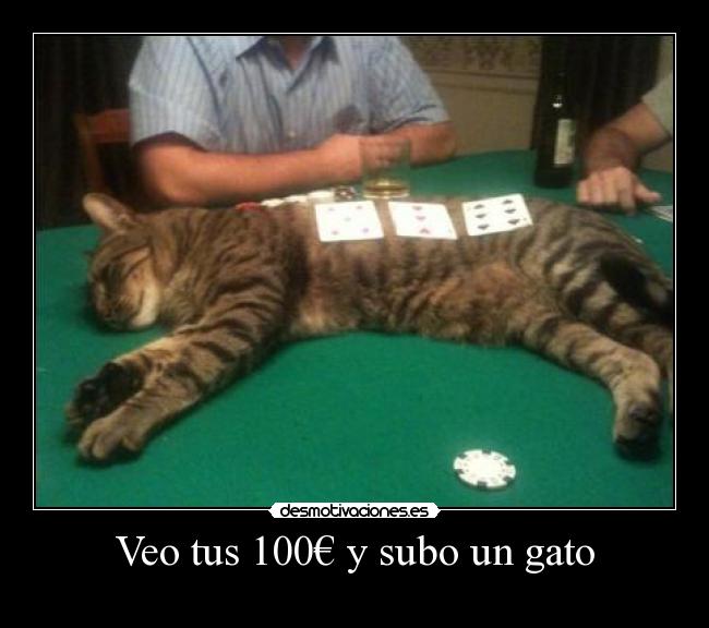 Veo tus 100€ y subo un gato - 