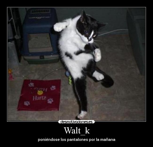 Walt_k - poniéndose los pantalones por la mañana