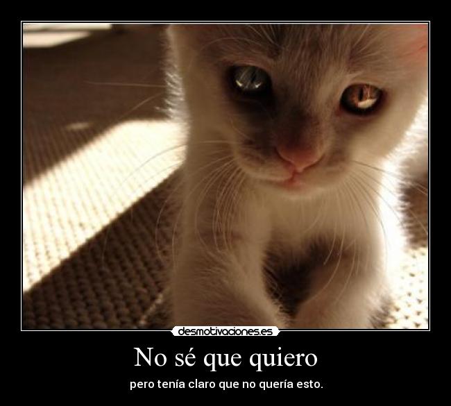 No sé que quiero - pero tenía claro que no quería esto.