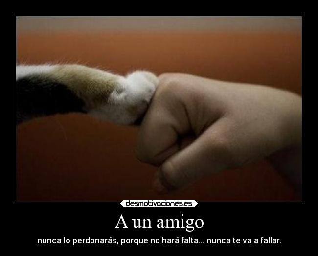 A un amigo - nunca lo perdonarás, porque no hará falta... nunca te va a fallar.