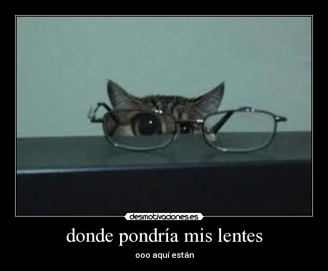 donde pondría mis lentes - ooo aquí están