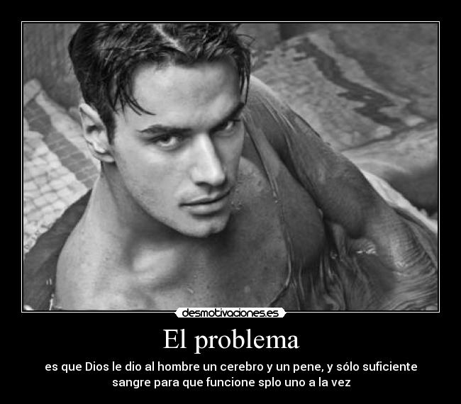 carteles sara desmotivaciones