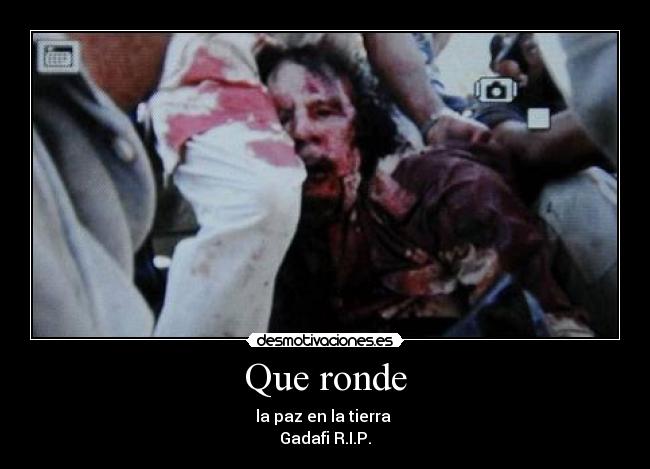 carteles gadafi desmotivaciones