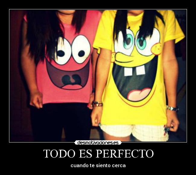 TODO ES PERFECTO - 