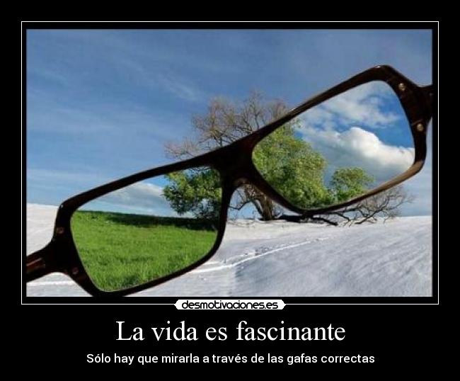 carteles vida gafas fashion desmotivaciones