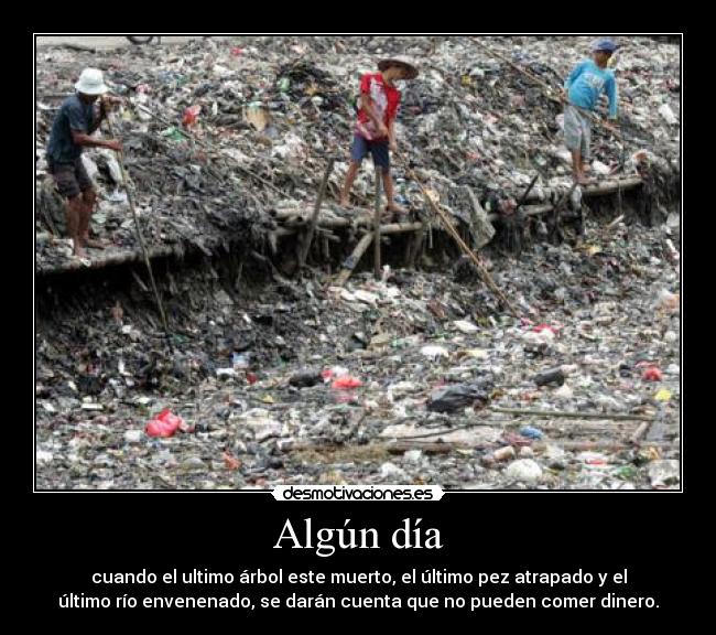 Algún día - cuando el ultimo árbol este muerto, el último pez atrapado y el
último río envenenado, se darán cuenta que no pueden comer dinero.