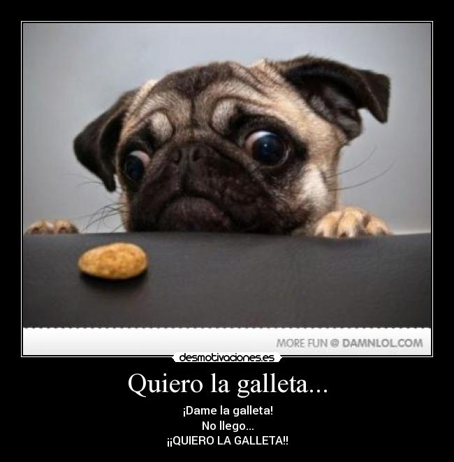 carteles galletas xdd desmotivaciones