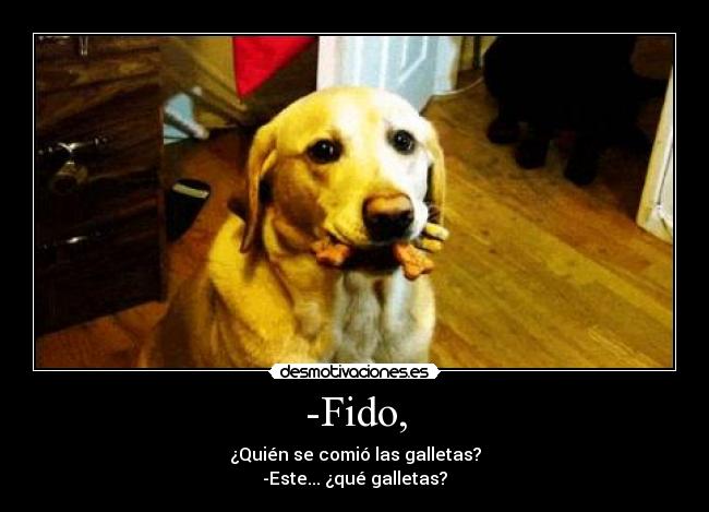-Fido, - ¿Quién se comió las galletas?
-Este... ¿qué galletas?