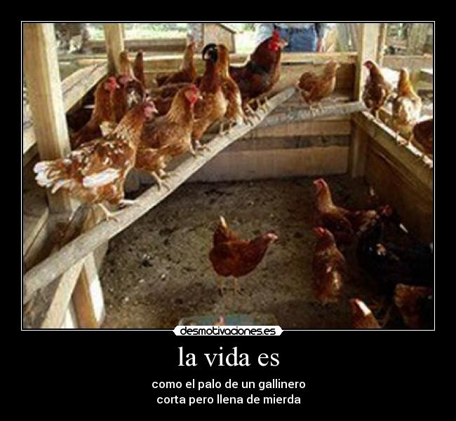 la vida es - como el palo de un gallinero
corta pero llena de mierda