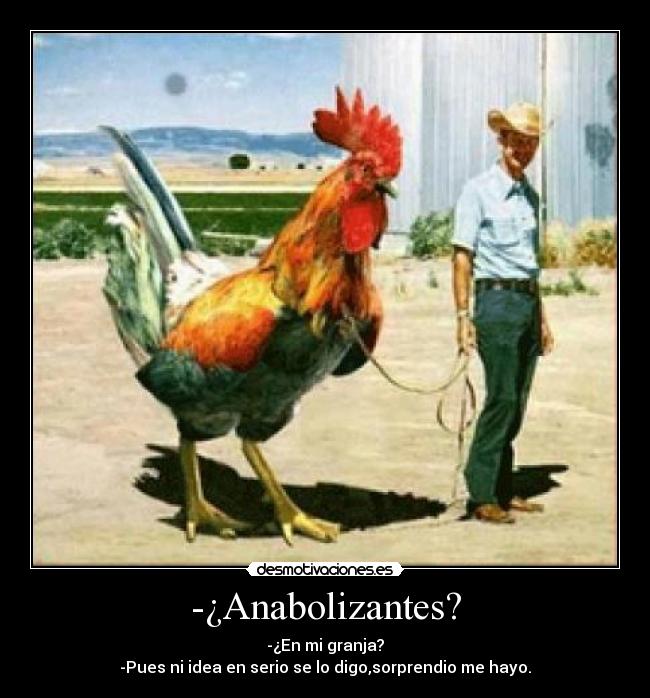-¿Anabolizantes? - -¿En mi granja?
-Pues ni idea en serio se lo digo,sorprendio me hayo.