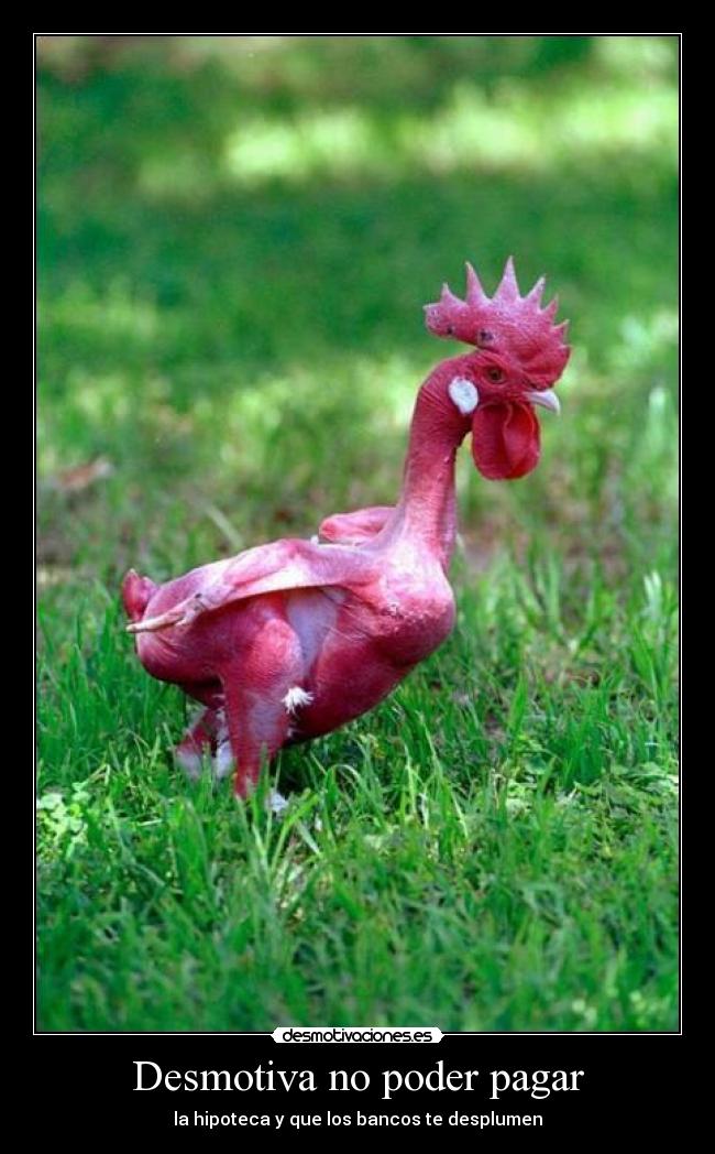 carteles hipoteca desmotivaciones
