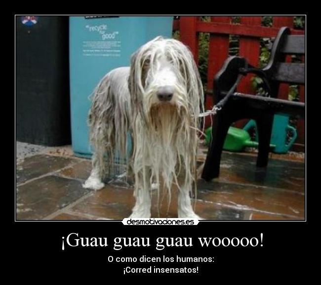 ¡Guau guau guau wooooo! - 