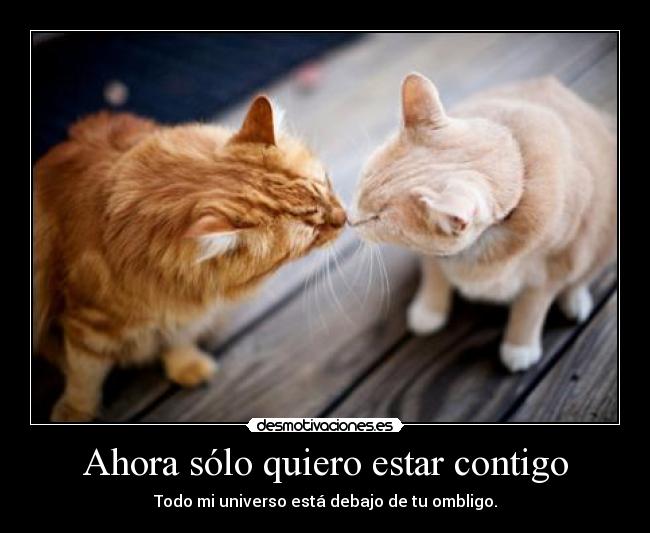 Ahora sólo quiero estar contigo -