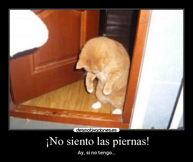 ¡No siento las piernas! - Ay, si no tengo...