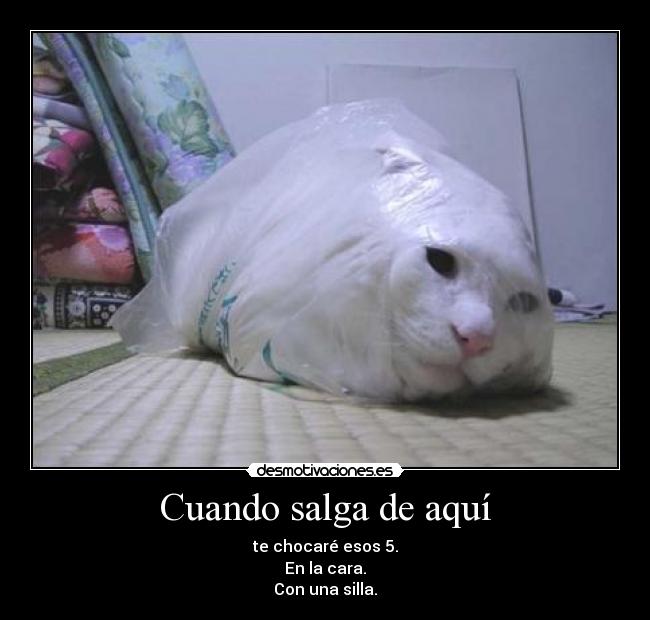 Cuando salga de aquí - 