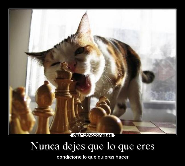 Nunca dejes que lo que eres - condicione lo que quieras hacer