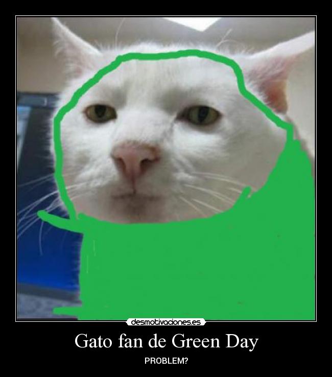 Gato fan de Green Day - PROBLEM?