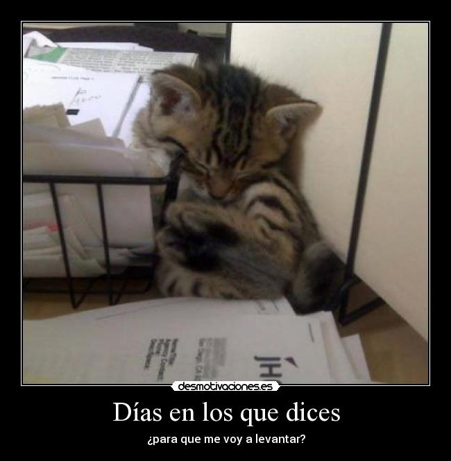 Días en los que dices -