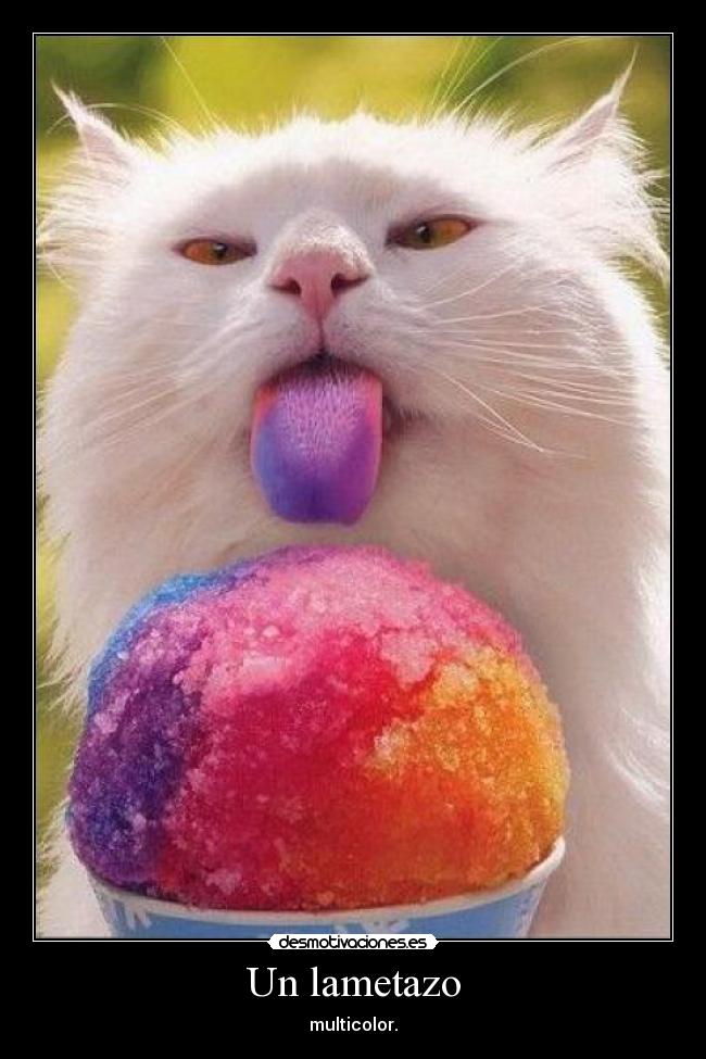 Un lametazo - multicolor.