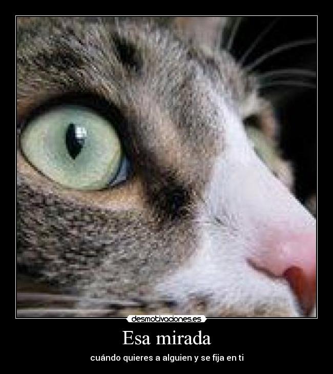 Esa mirada - 