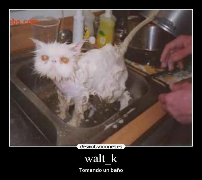 walt_k -