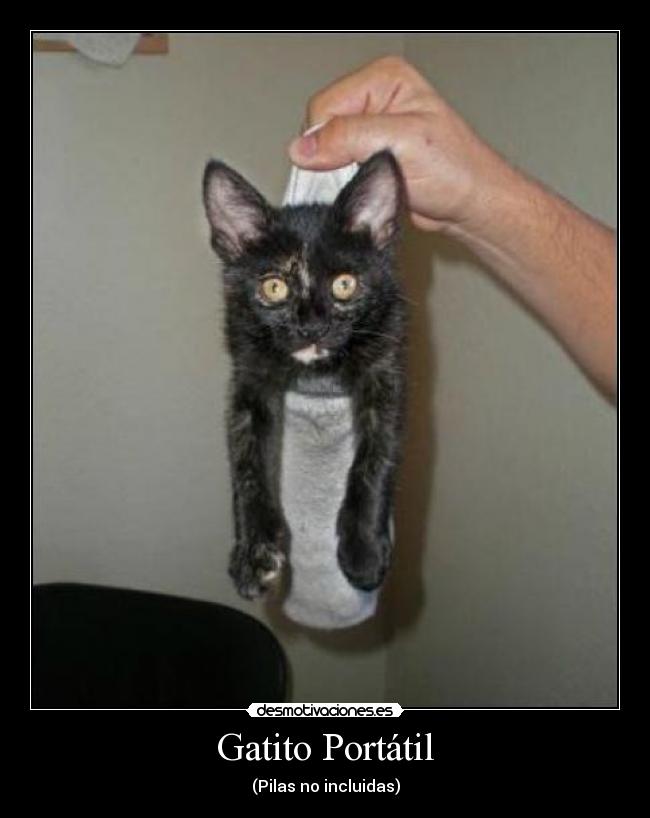 Gatito Portátil - (Pilas no incluidas)