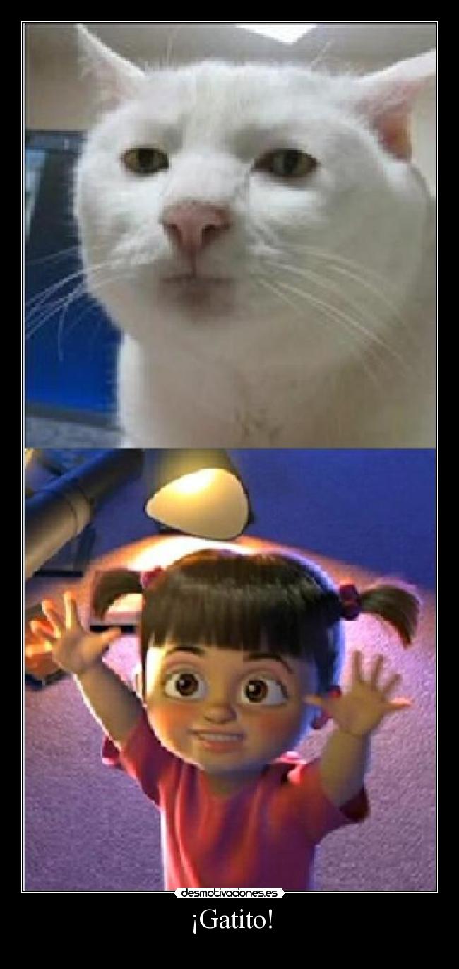 ¡Gatito! -