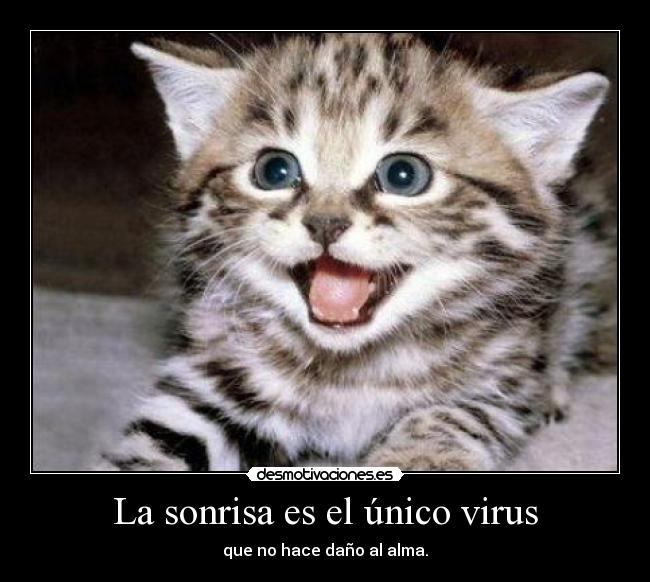 La sonrisa es el único virus - que no hace daño al alma.