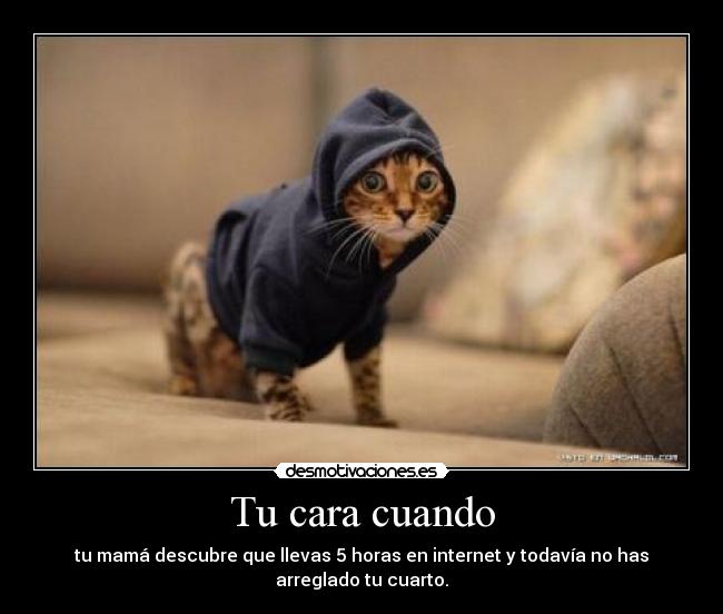 carteles loquequieras desmotivaciones