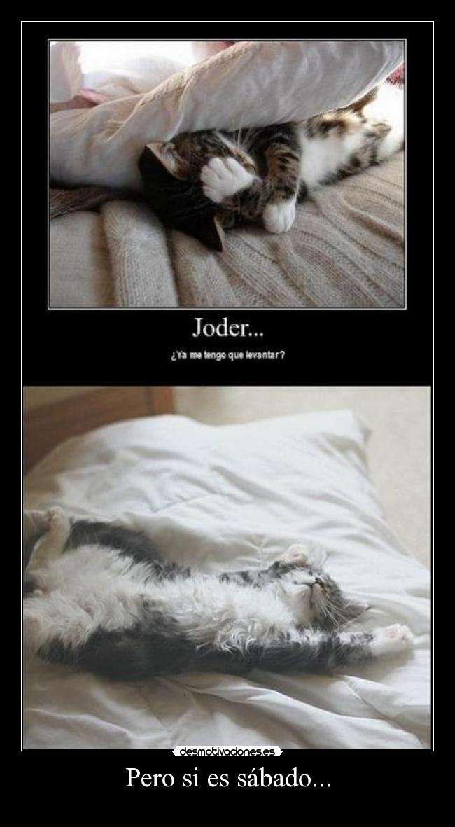 Pero si es sábado... -