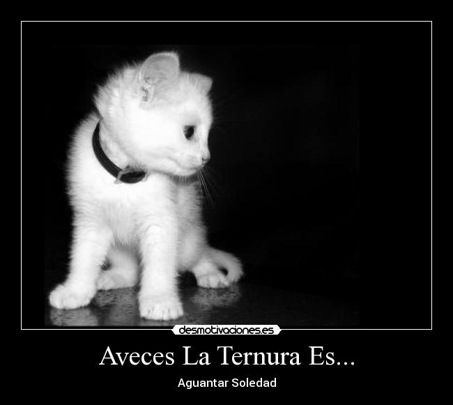 Aveces La Ternura Es... -