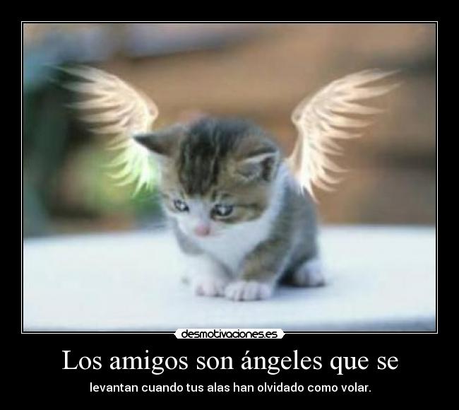 Los amigos son ángeles que se - levantan cuando tus alas han olvidado como volar.