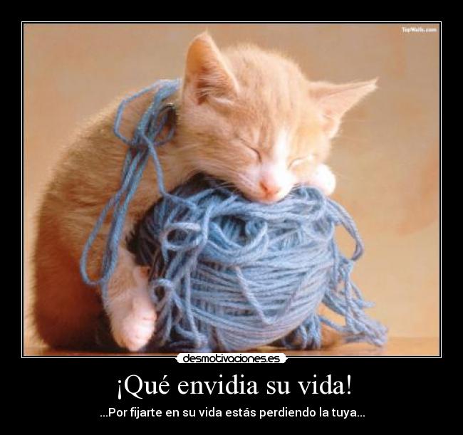 ¡Qué envidia su vida! - ...Por fijarte en su vida estás perdiendo la tuya...