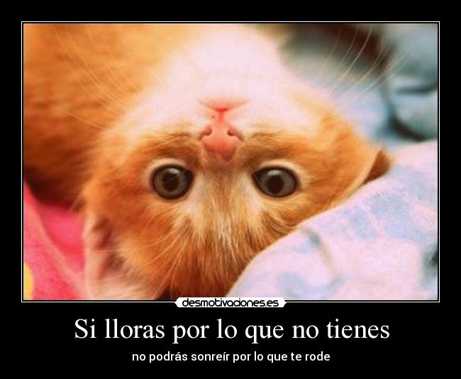 Si lloras por lo que no tienes -