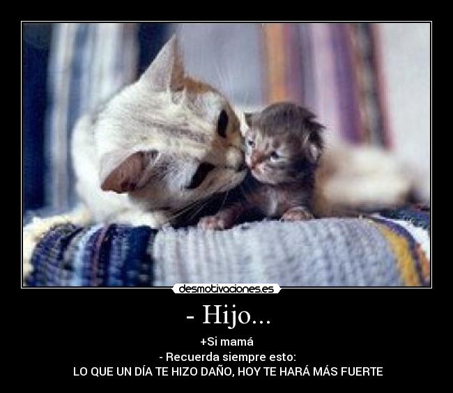 - Hijo... - +Si mamá
- Recuerda siempre esto:
LO QUE UN DÍA TE HIZO DAÑO, HOY TE HARÁ MÁS FUERTE