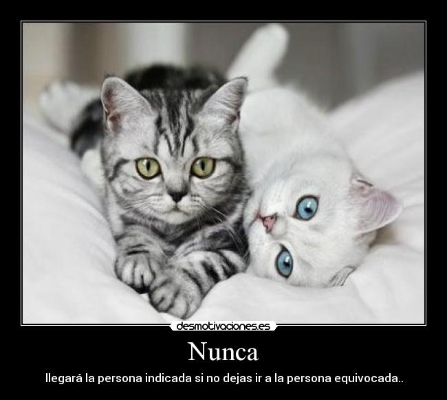 Nunca - llegará la persona indicada si no dejas ir a la persona equivocada..