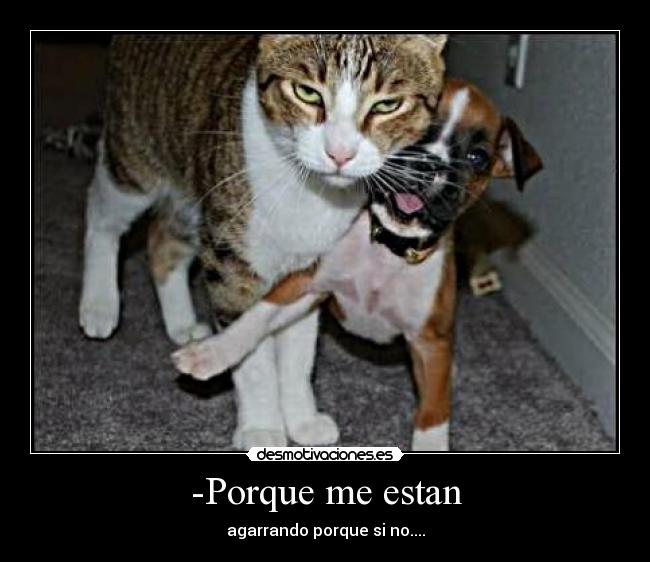 -Porque me estan - agarrando porque si no....