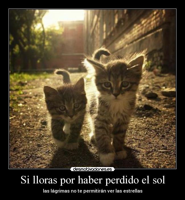 Si lloras por haber perdido el sol -
