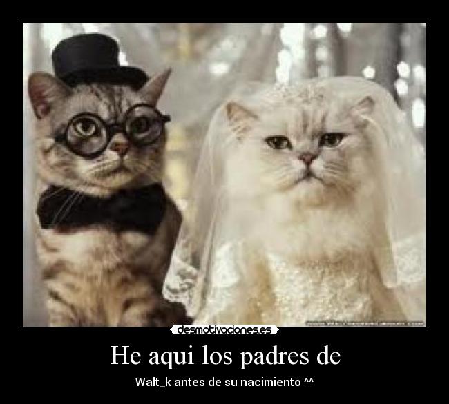 He aqui los padres de -