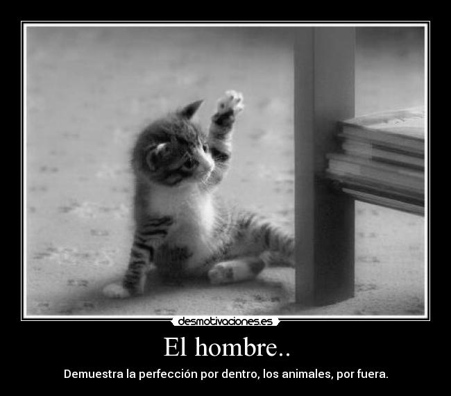 El hombre.. -